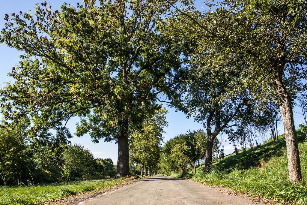 Economy Room,109833825:JPEG