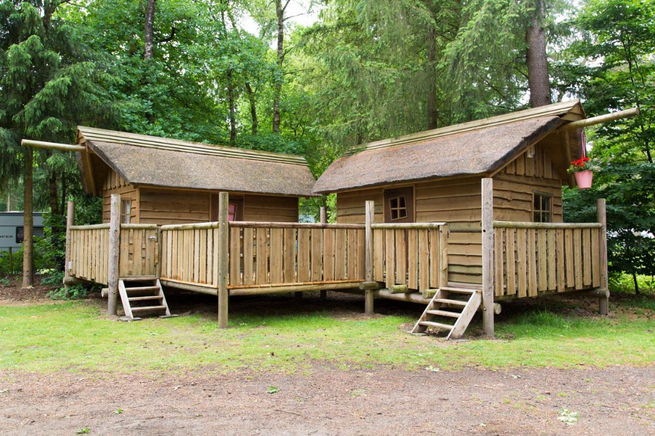 Houten Hut 4 Personen