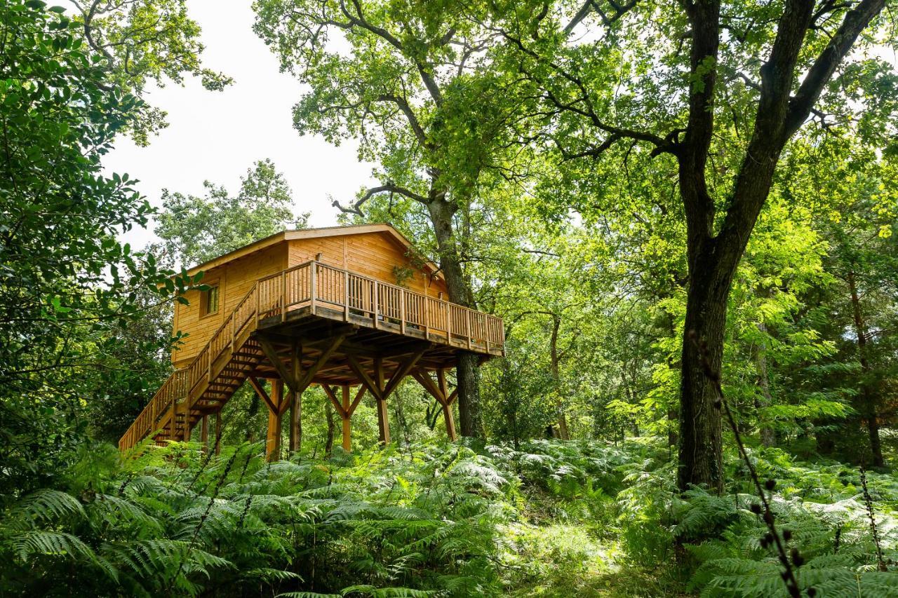 Cabanes dans les Arbres - 4 Personnes