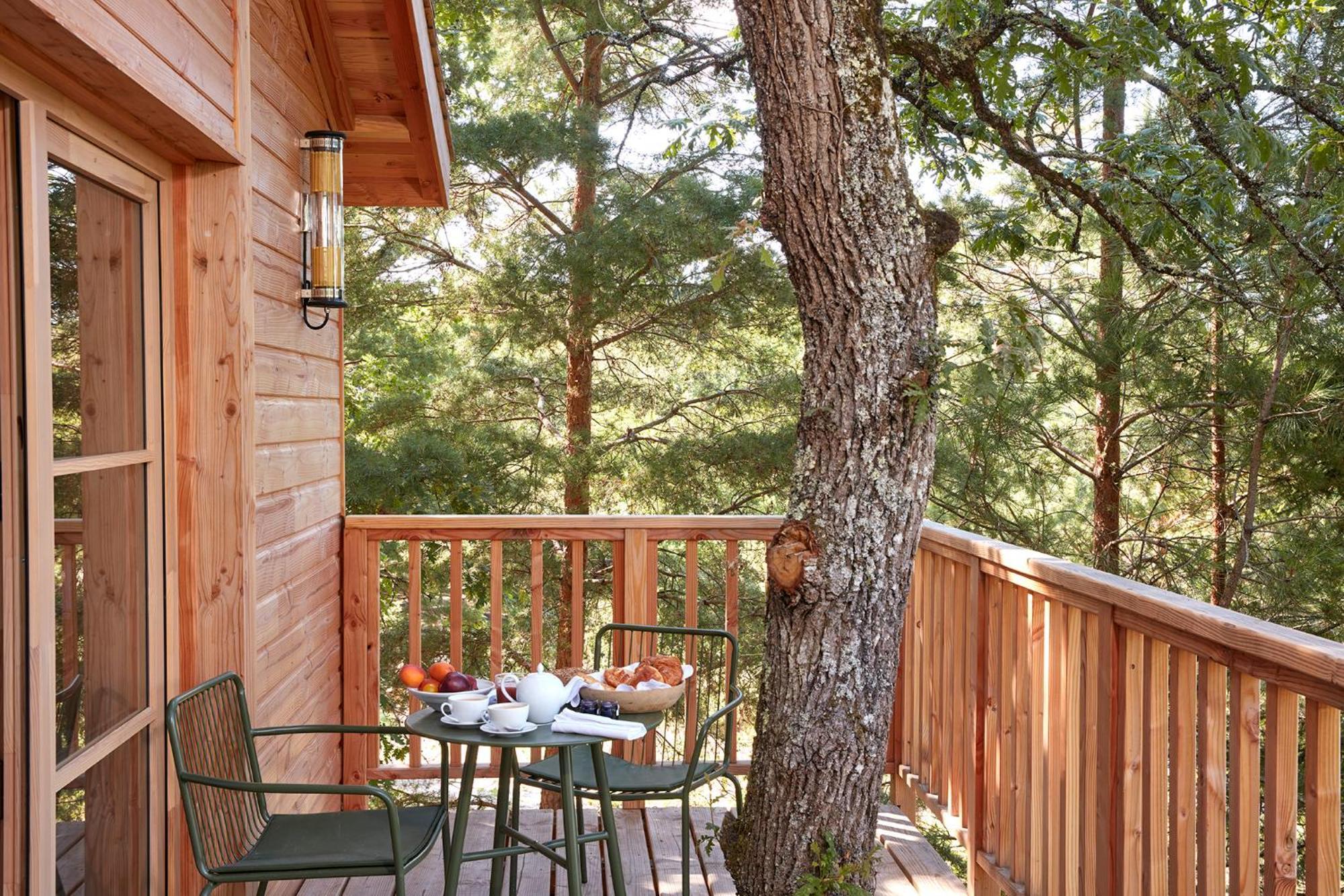 Cabane dans les Arbres