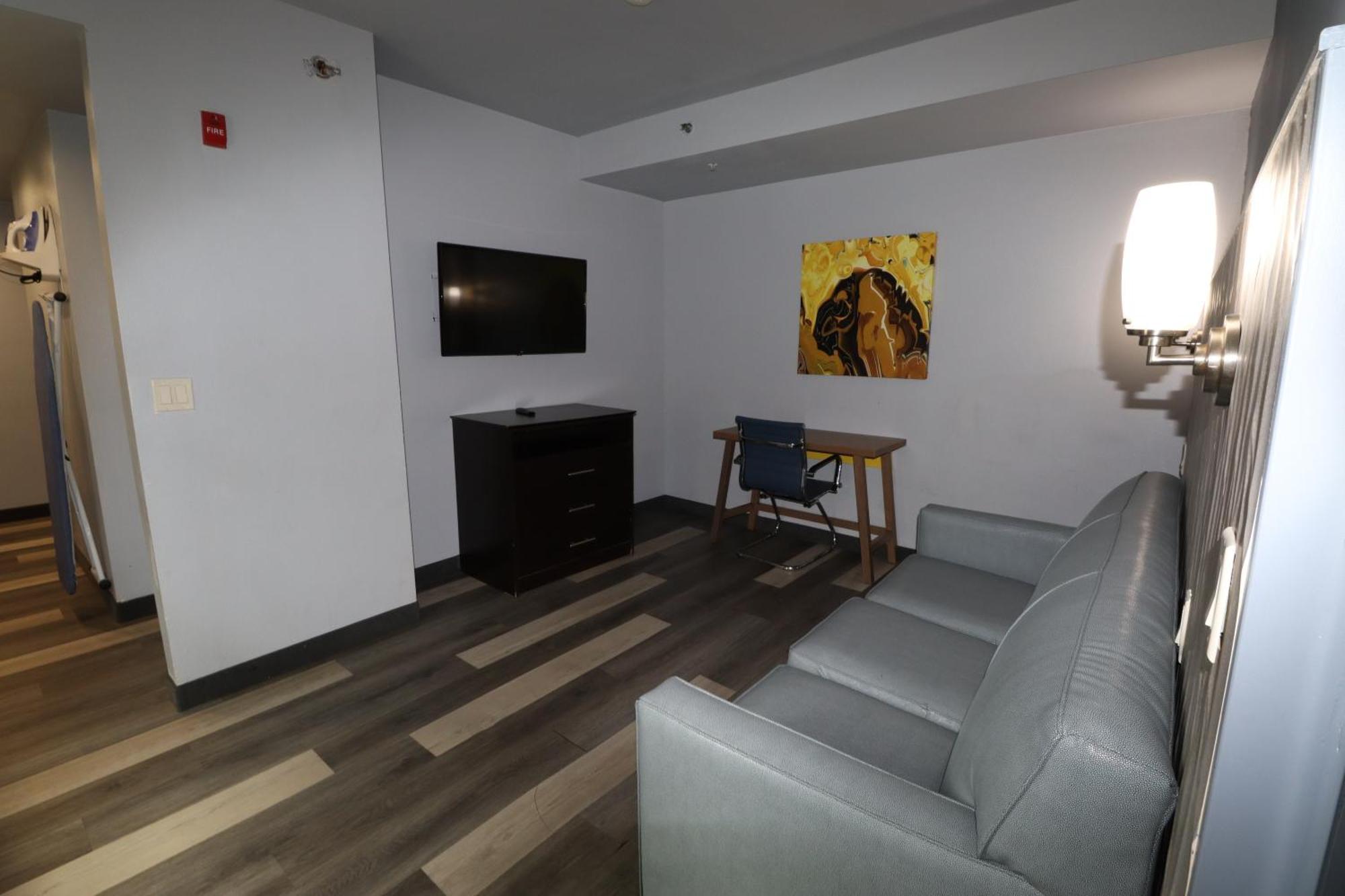 Deluxe One-Bedroom King Suite - Non-Smoking