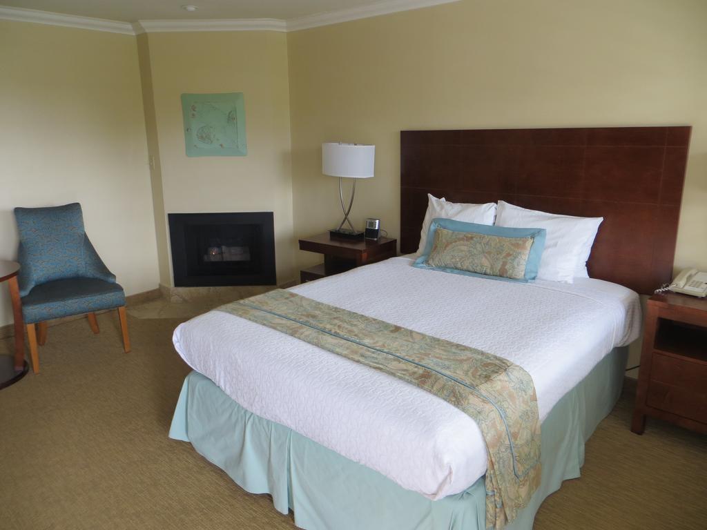 Queen Room Fireplace