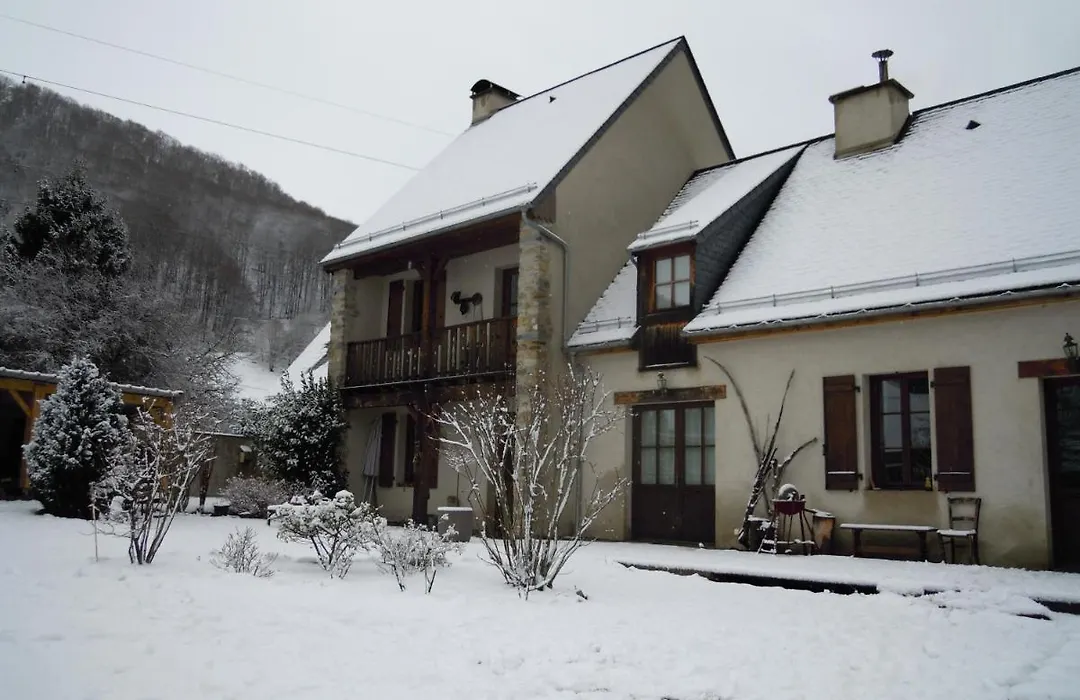La Grande Ourse-1