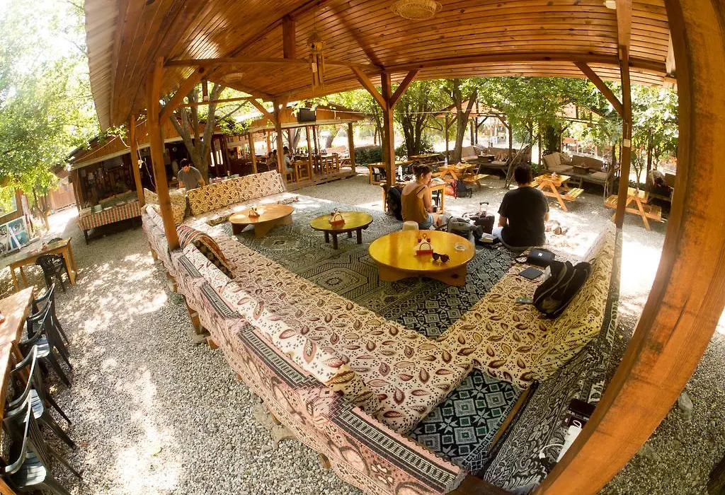 Saban Tree Houses-1