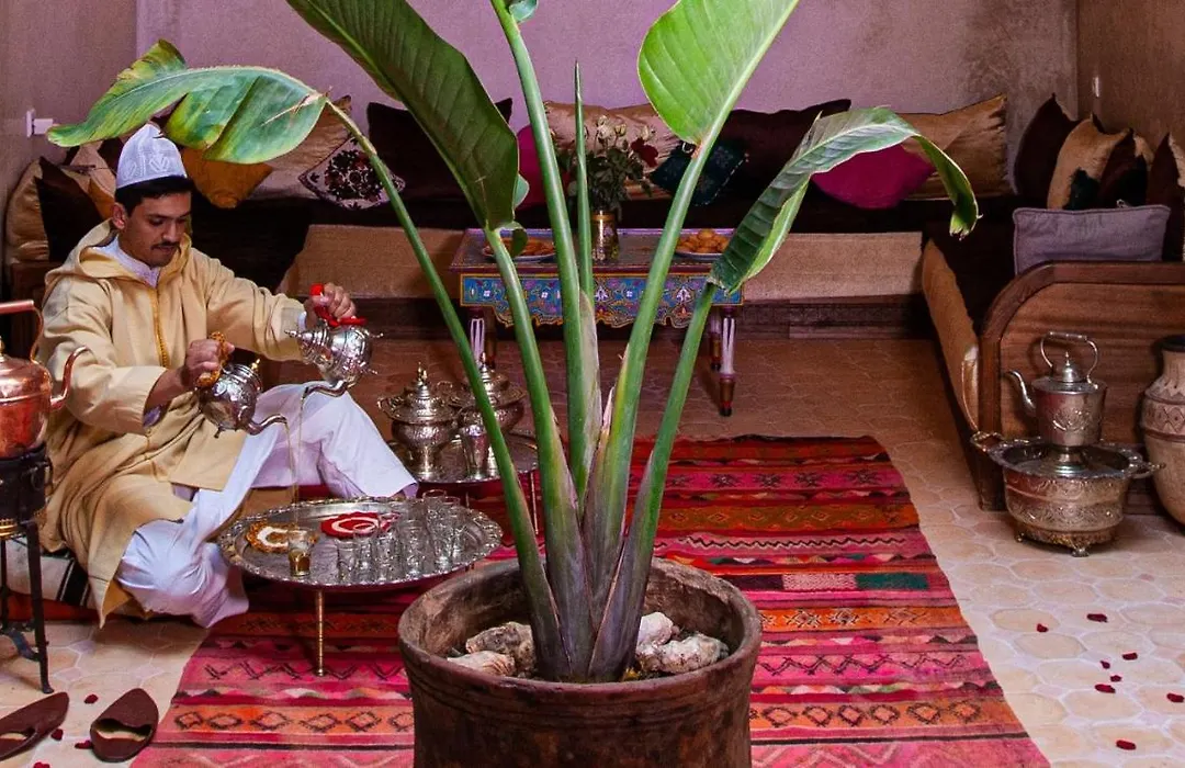 Riad Taziri-1