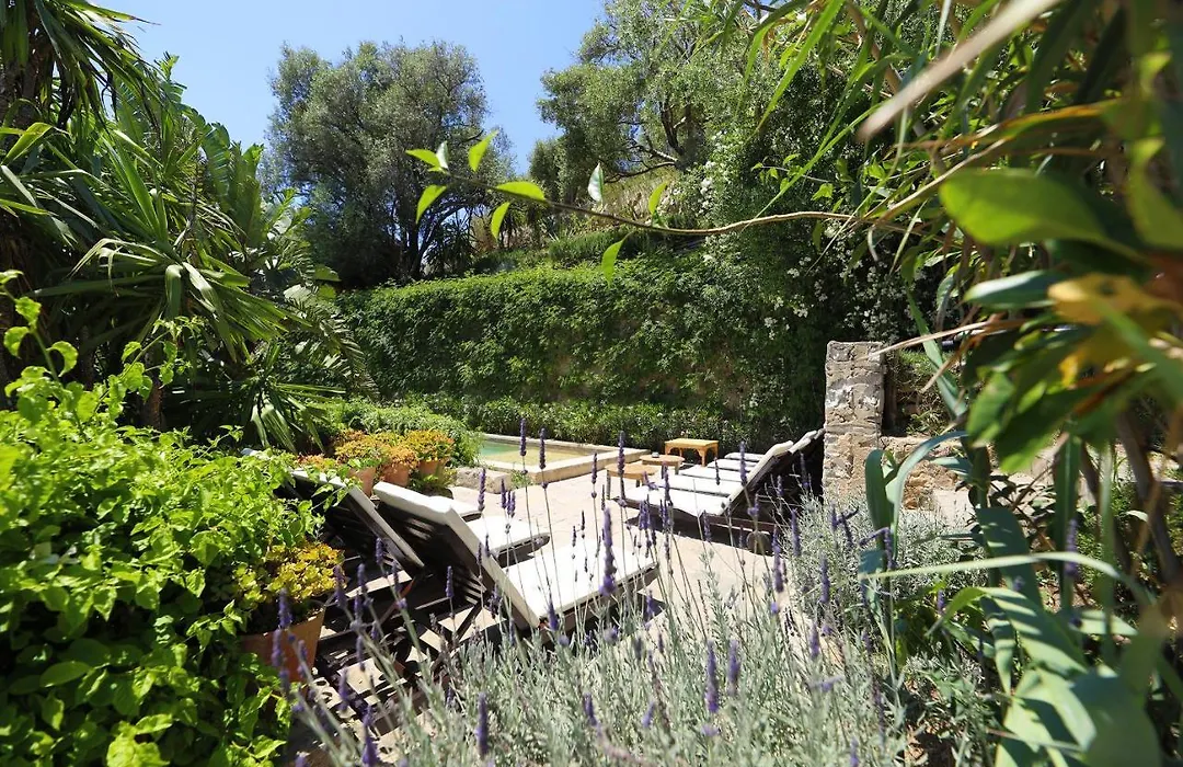 Mimi Calpe-1