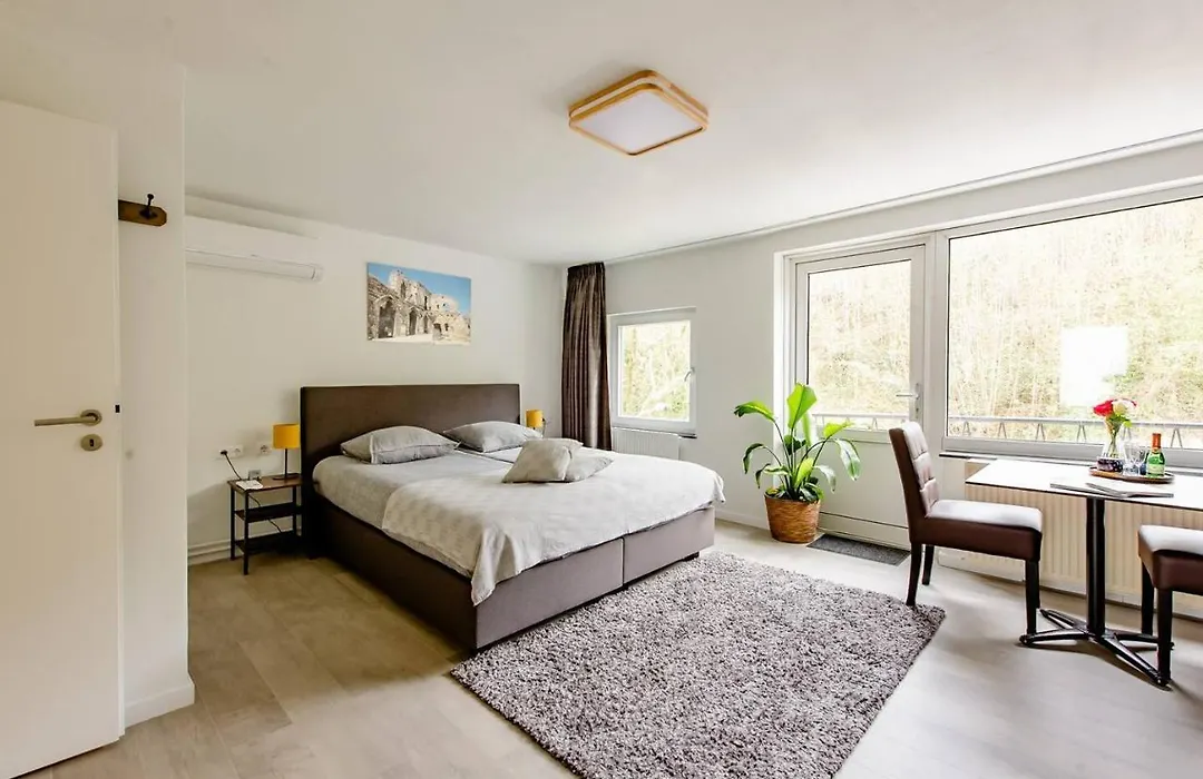 Logement viphouse Valkenburg-1