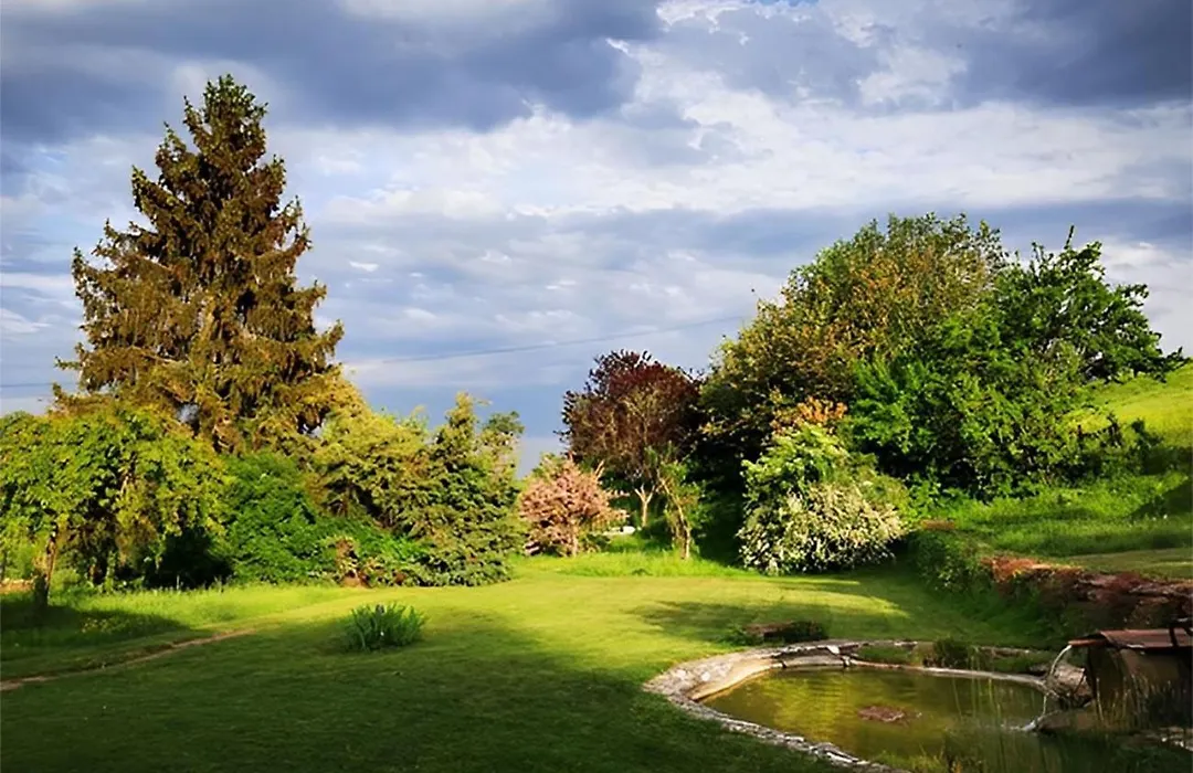 Le Champ Des Sources-1