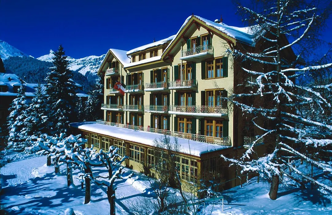 Historic Hotel Falken-1