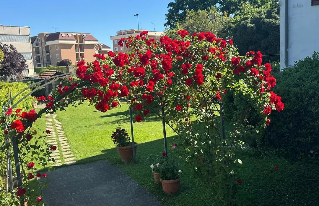 B&B Le Cinque Querce-1