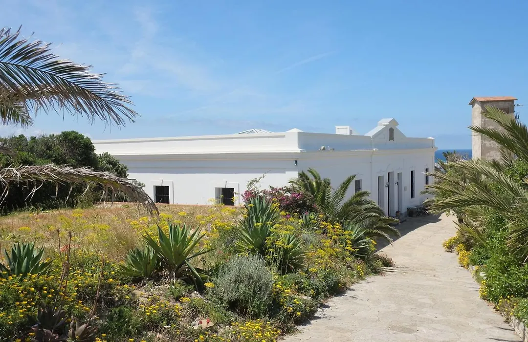 White House Tarifa-1