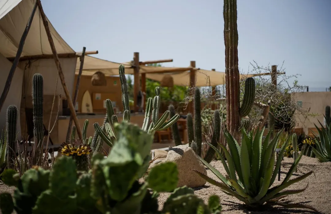 Baja Temple-1