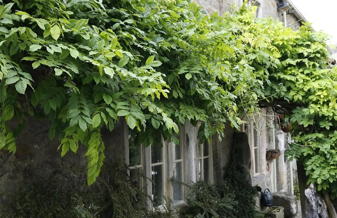 Ashfield House-1