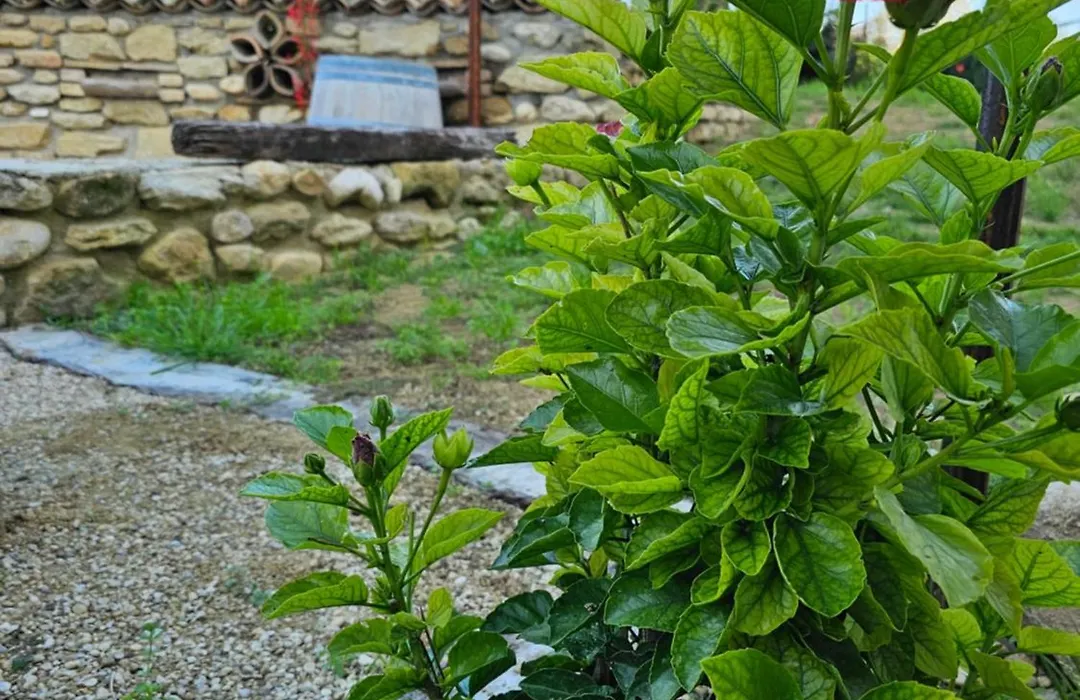 Borgo del Marchese-1