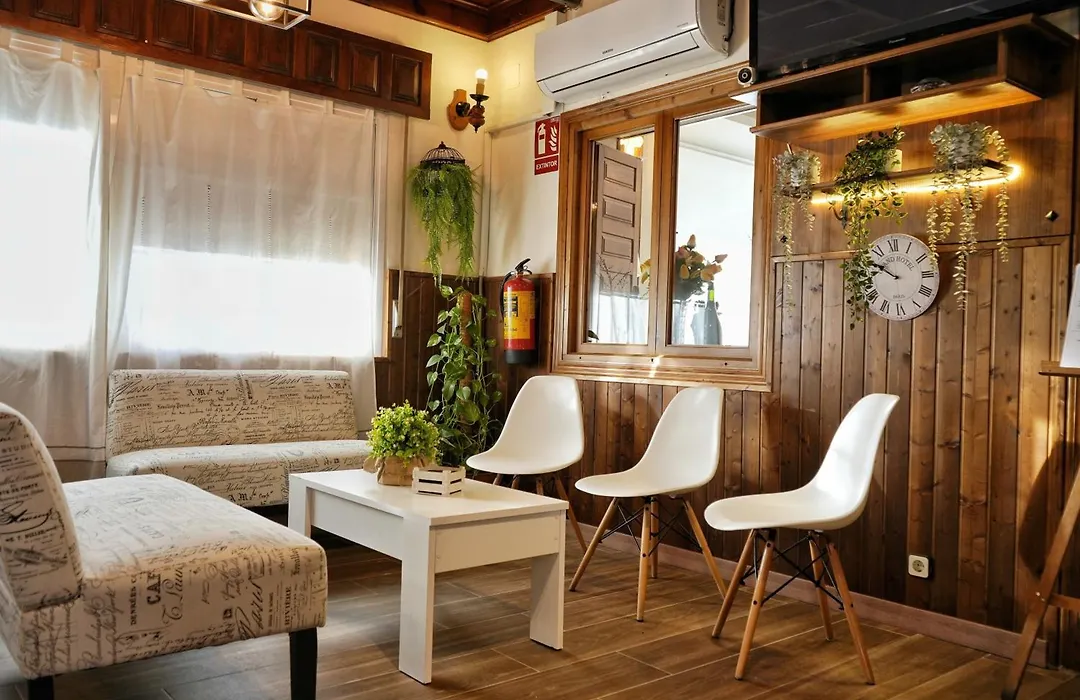 Hostal Mainz-1