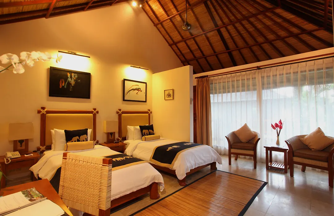 Mason Elephant Lodge-1