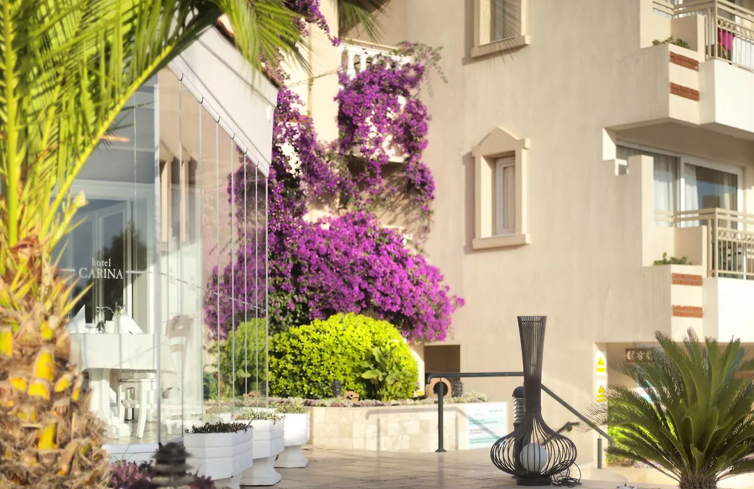Hotel Carina-1