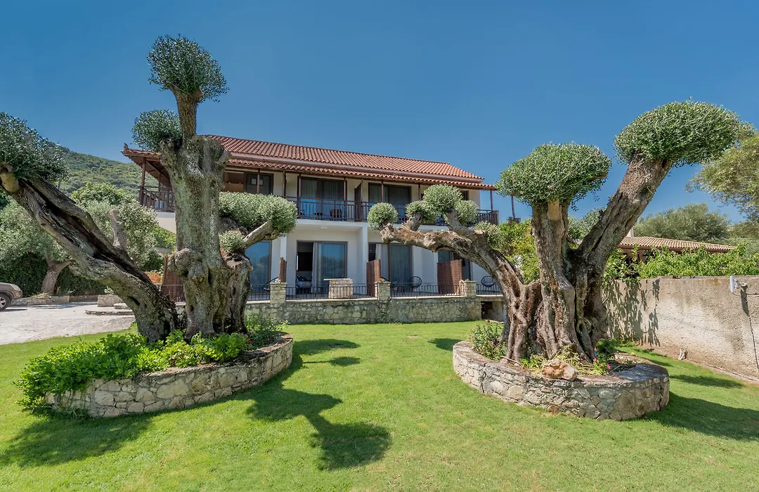 Eptanisos Beachfront Suites Zante-1