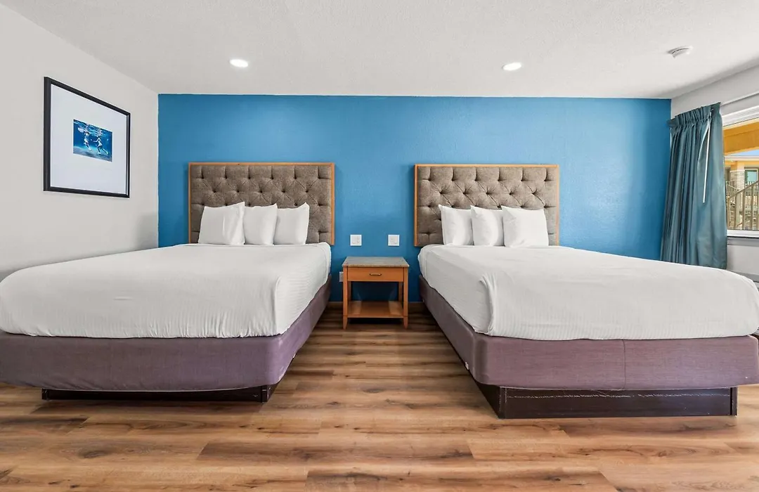 Econo Lodge Inn & Suites Sealy-1