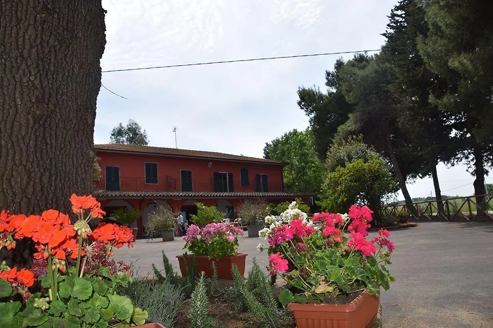 Il bracconiere-1