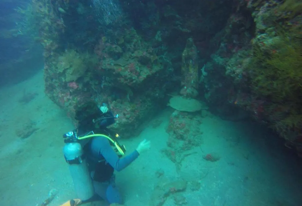 Anilao Scuba Dive Center-1