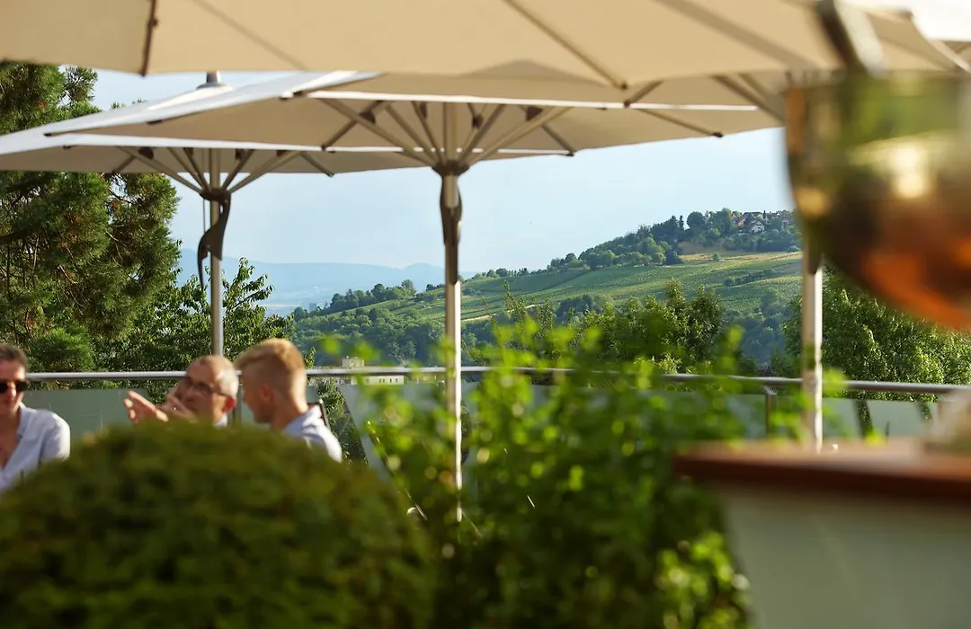 Hotel Villa Elben Loerrach Bei Basel-1