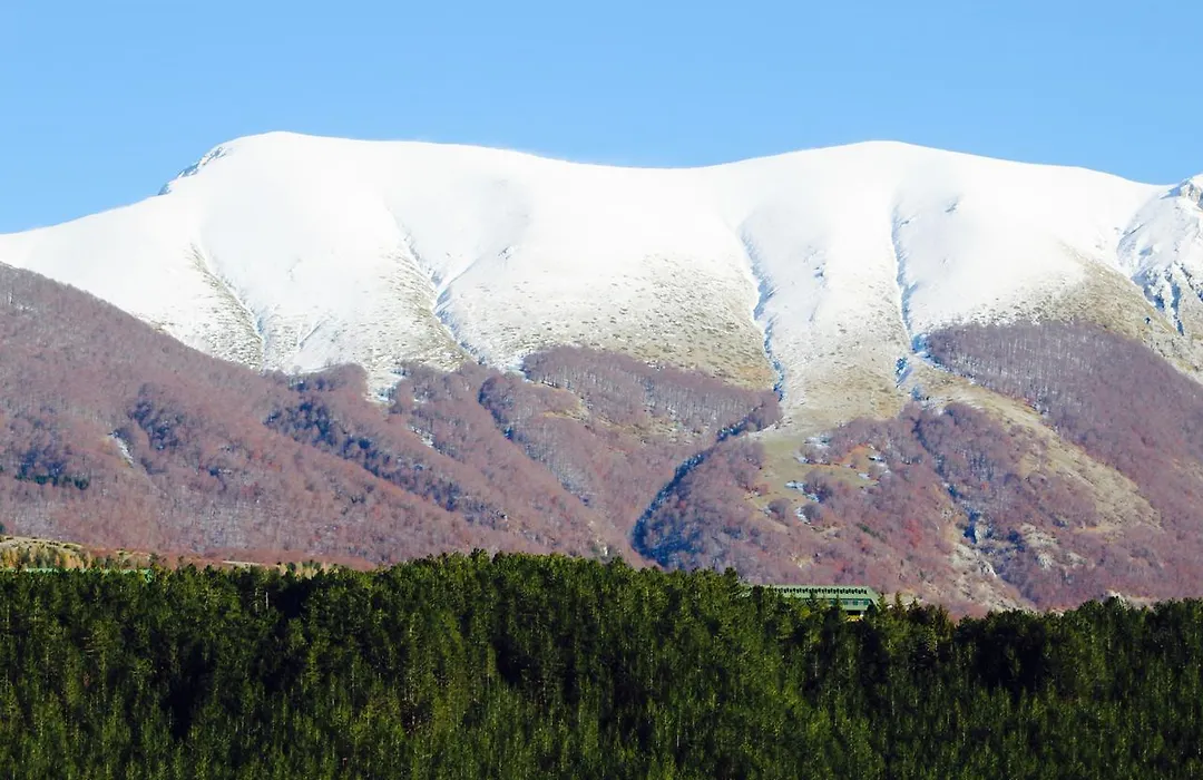 Hotel Orso Bianco-1