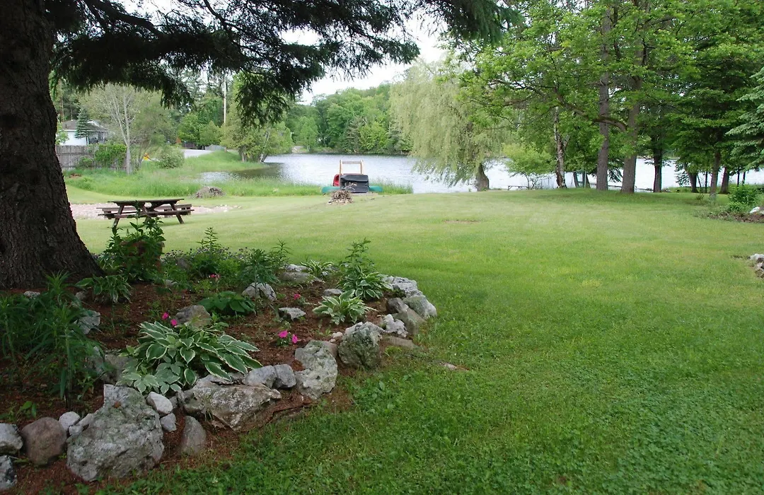 Teddy Bear Bed & Breakfast-1