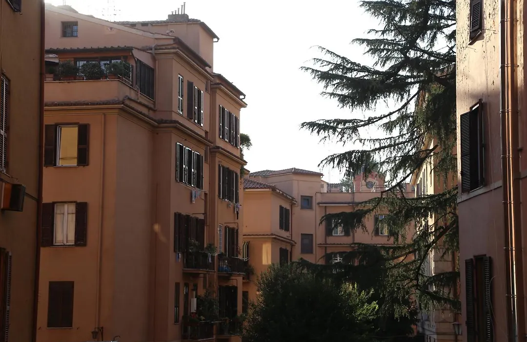 Dhome B&B-1