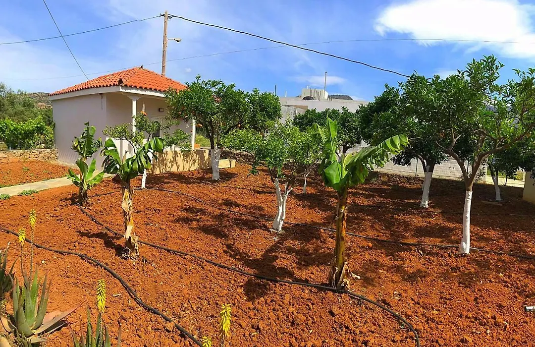 Maria Hotel Sisi-1