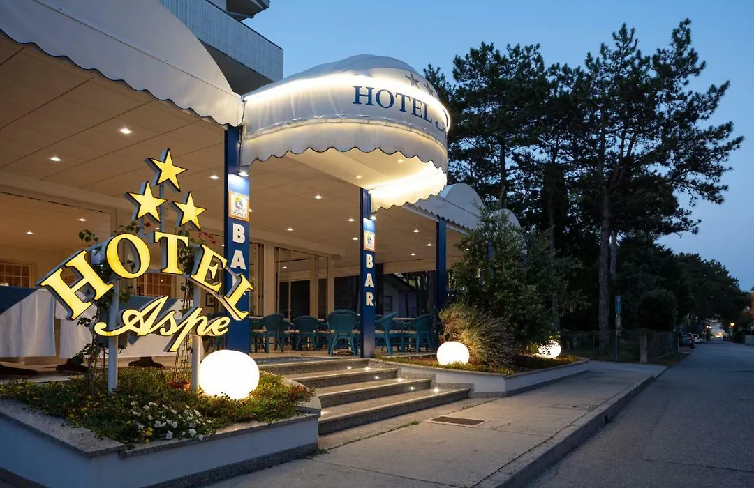 Hotel Aspe-1