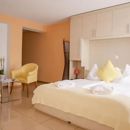 Hotel du Faucon-3