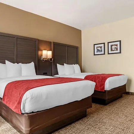 Comfort Inn & Suites Millbrook-Prattville-3