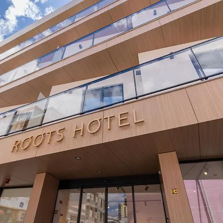 Roots Hotel-3