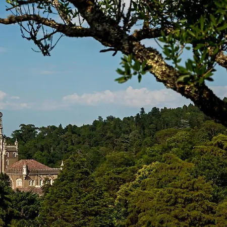 Palace Hotel Do Bussaco-2