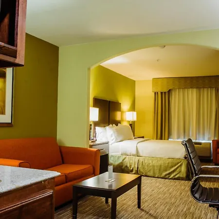 Holiday Inn Express Hotel & Suites Waller By Ihg-2