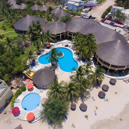 Royal Saly-2