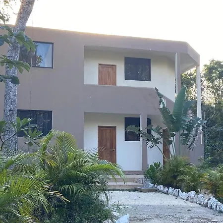 Santuario Jungle-2