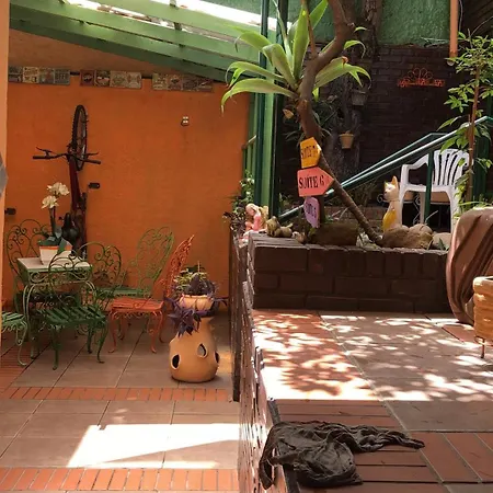 Casa Moinhos de Vento Vintage-2