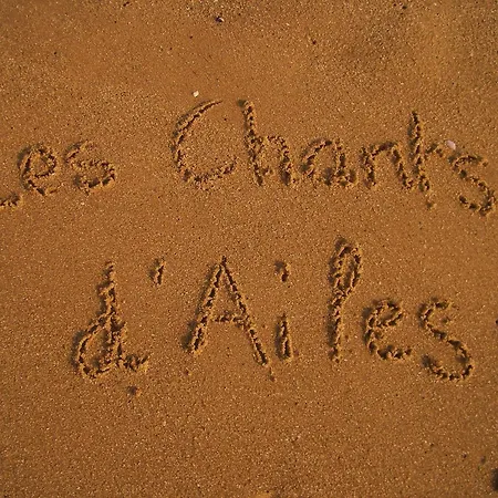 Les Chants d'Ailes - Hôtel Face Mer-2