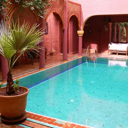 Riad Noga-3