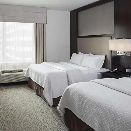 Cambria Hotel White Plains - Downtown-3