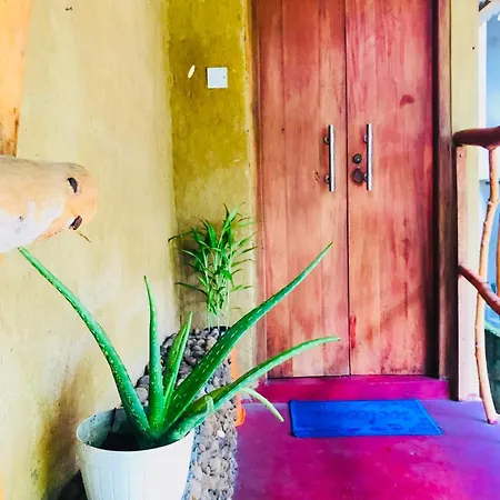 Nature Lovers Safari Resort-3