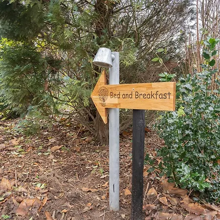Bed&Breakfast Bij ons in het bos-2