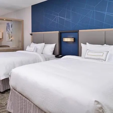 Springhill Suites By Marriott Springfield Southwest-2