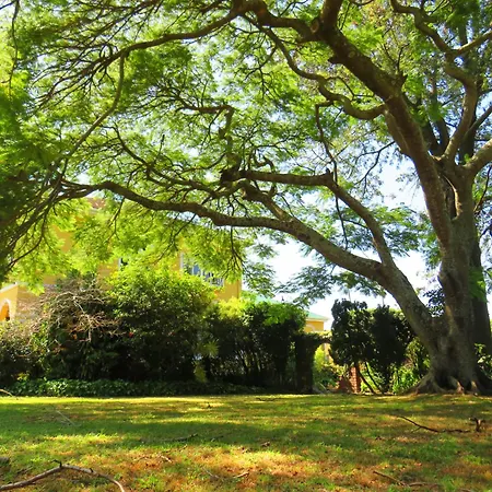 Thule Guesthouse Selborne-3