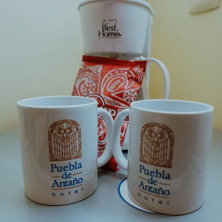 Hotel Puebla de Antaño-2