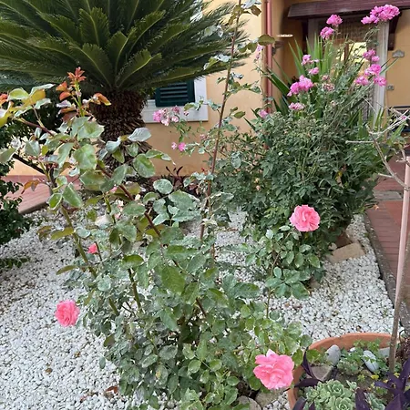 la Bellavita rooms-2