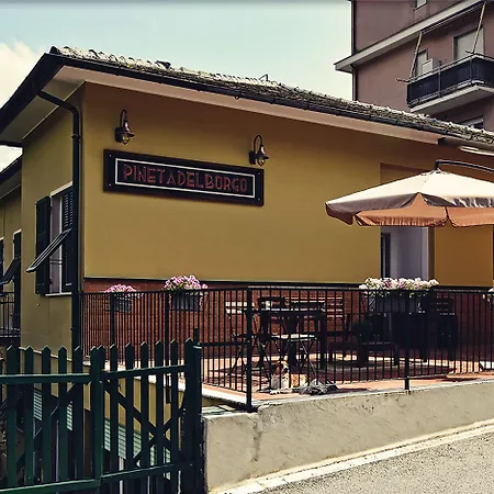 Pineta del Borgo-3