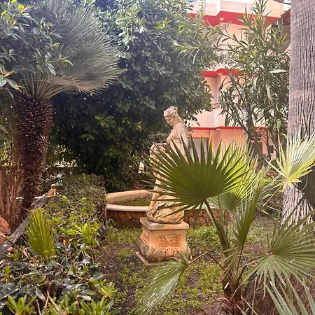The San Anton Hotel-3